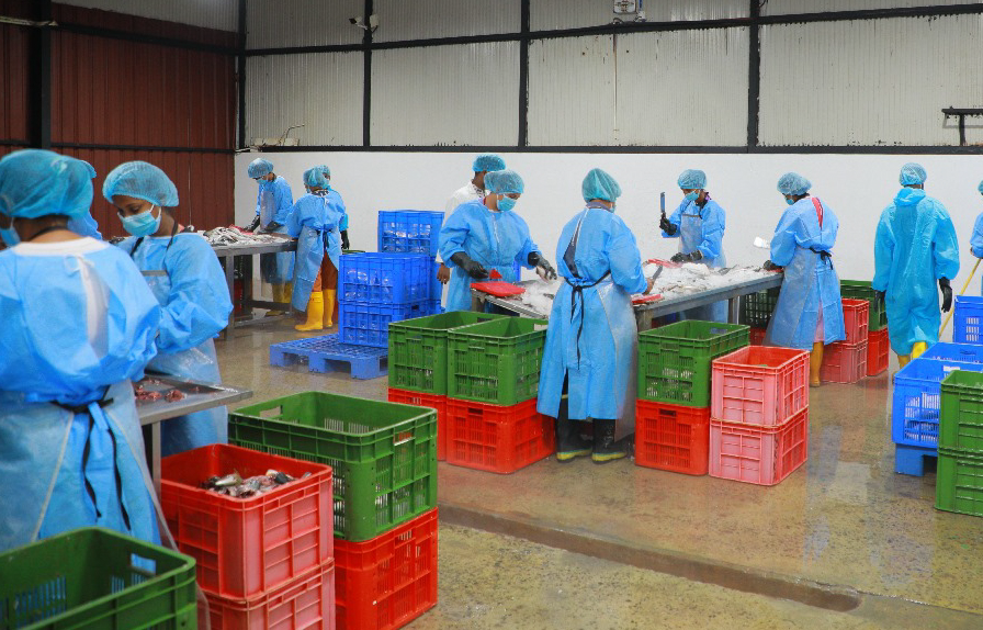 Ocean Foods workforce